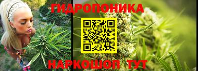 прущие крисы Северобайкальск