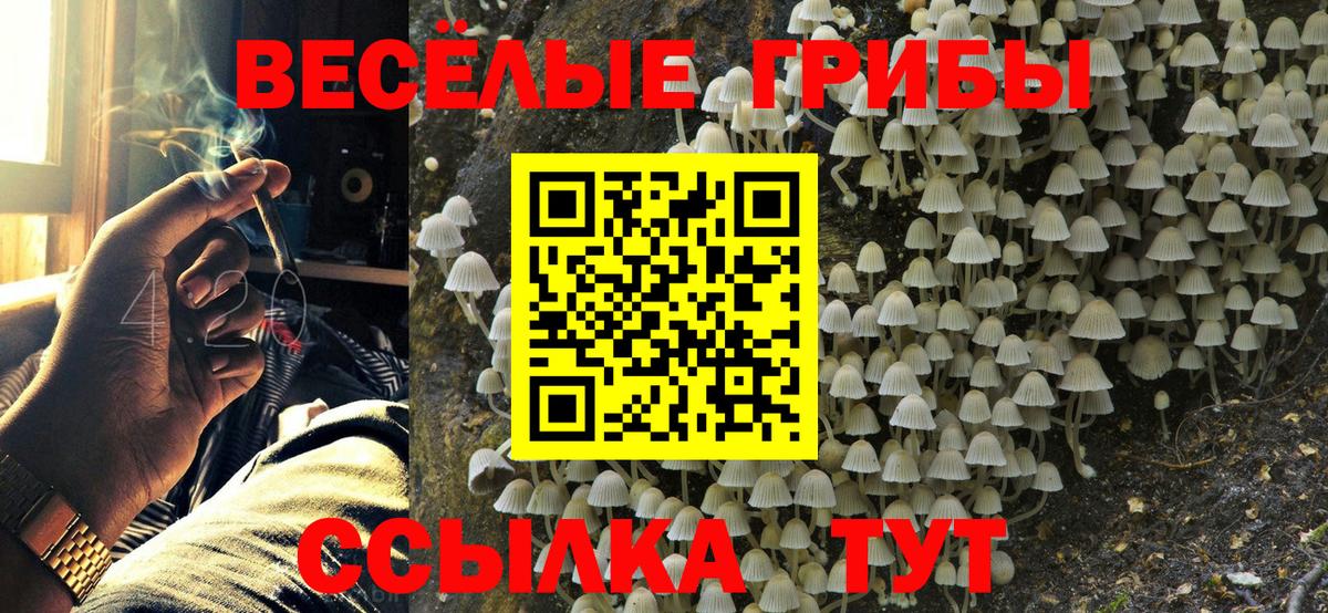 Галлюциногенные грибы прущие грибы Ревда